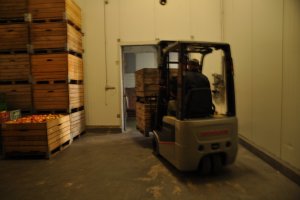 Wózek Nissan Forklift w chłodni