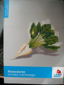 Nawożenie buraka cukrowego