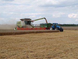 Claas Lexion 780 TT