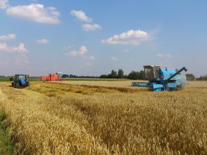 Bizon Z058 & Bizon Z056 & New Holland TL100 z przyczepą