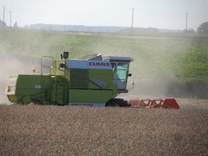 Claas Dominator 68