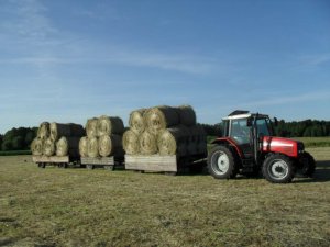 Massey Ferguson 6260