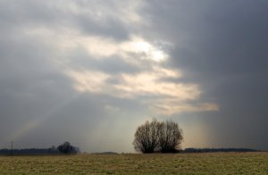 Łąka