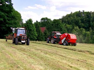 Zetor 8145