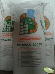 Nasiona Kukurydzy GLEJT 