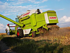 Claas Dominator 96