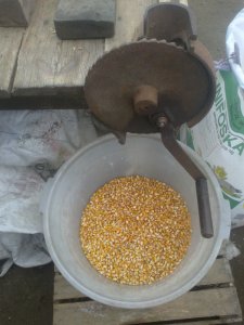 Sprzęt do kukurydzy