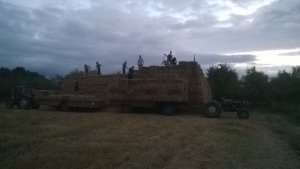 Ursus C-4011 & dłużyca Ursus 3512 & dłużyca