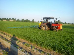 Ursus C-4011 + opryskiwacz