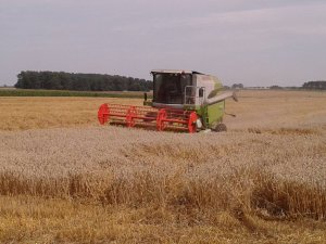 Claas Avero 240