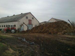 Massey ferguson 255