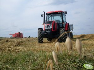Zetor proxima 8441 I bizon z056