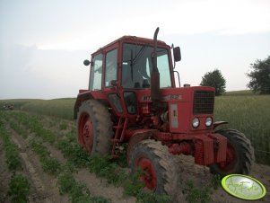 MTZ 82