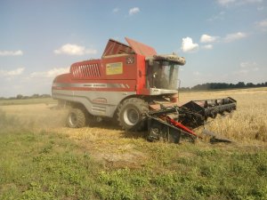 Massey Ferguson 7282