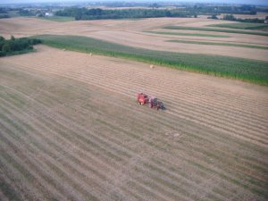 MTZ 82 + New Holland 650