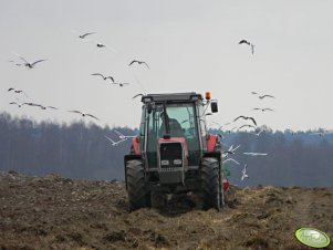 Massey Ferguson 3080 &Stal Tech U006