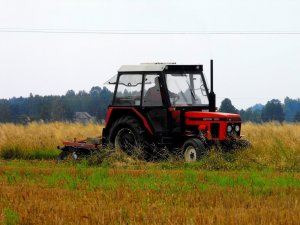 Zetor 7211 i talerzówka Akpil.