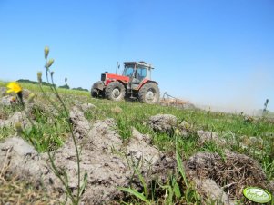 Massey Ferguson 3080 & Huard H-610