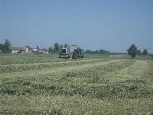 Fendt 312 Vario TMS + Auto-Agro N268 & Claas Jaguar 880