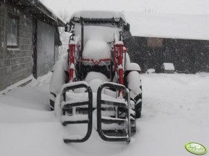 Massey Ferguson 3635 & Stoll robust F8