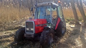 Massey Ferguson 3065