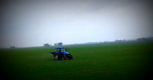 New Holland