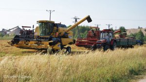 Bizon x3, NH x2, Ursus