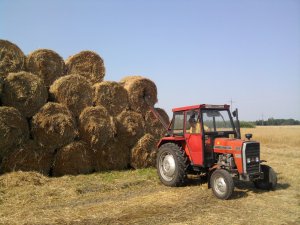 Massey Ferguson 255