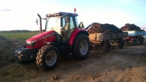 Massey Ferguson & D46 & D50