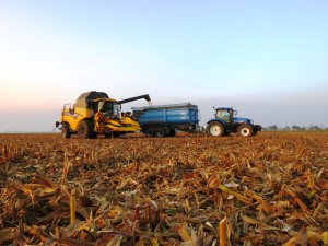 New Holland Cx6080 Elevation New holland Ts135a