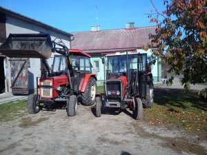 Massey Ferguson 255 Ursus c360