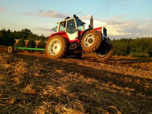 Massey ferguson 698