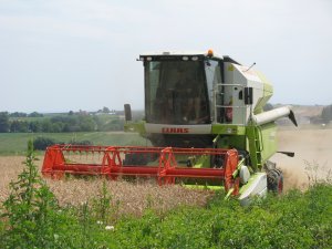 Claas AVERO 240