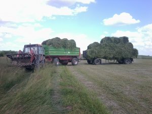 Zetor 7340, Unia Brzeg P-10 Long i Platforma do bel