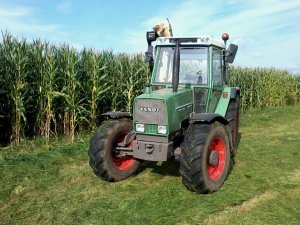 Fendt Farmer 308 lsa i krone am 282