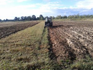 Massey Ferguson 3060 + Rabewerk