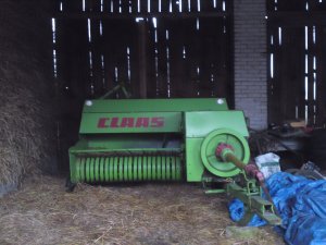 Claas dominant