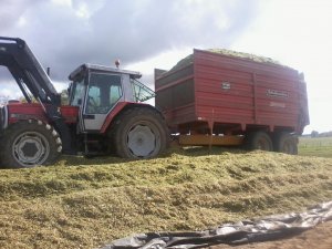 Massey Ferguson 3120