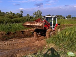 Massey Ferguson 3060+ quicke