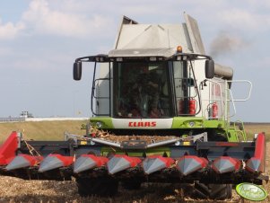 Claas Lexion 580 i Dominoni