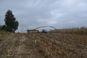 MTZ 82TS + Krone 5000