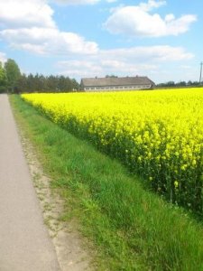 najlepszą ochroną dla Twojej u