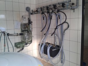 Dojarka przewodowa Westfalia