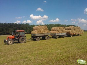 Zetor 7340 + przyczepki