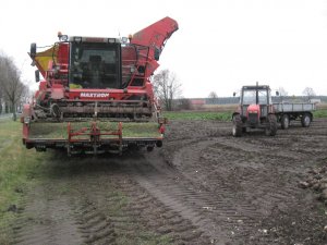 Zetor 5340 i Grimme