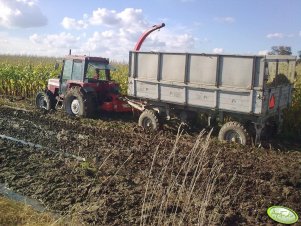 MF 675 + Pottinger
