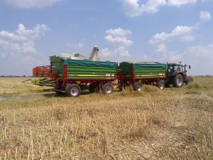 Massey Ferguson 5435 + Metaltech