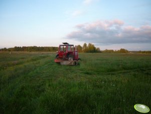 Massey Ferguson 265