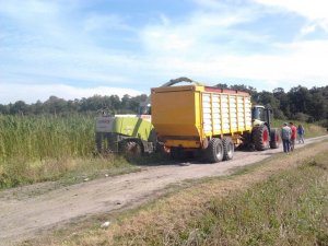 Claas Jaguar 870 & Claas Arion 620 - Veenhuis silagewagen