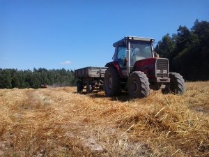 Massey Ferguson 3070